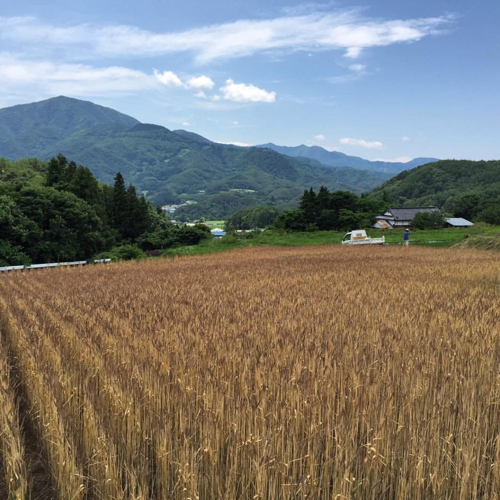 13603780_1242627285755606_4430027026096241370_o