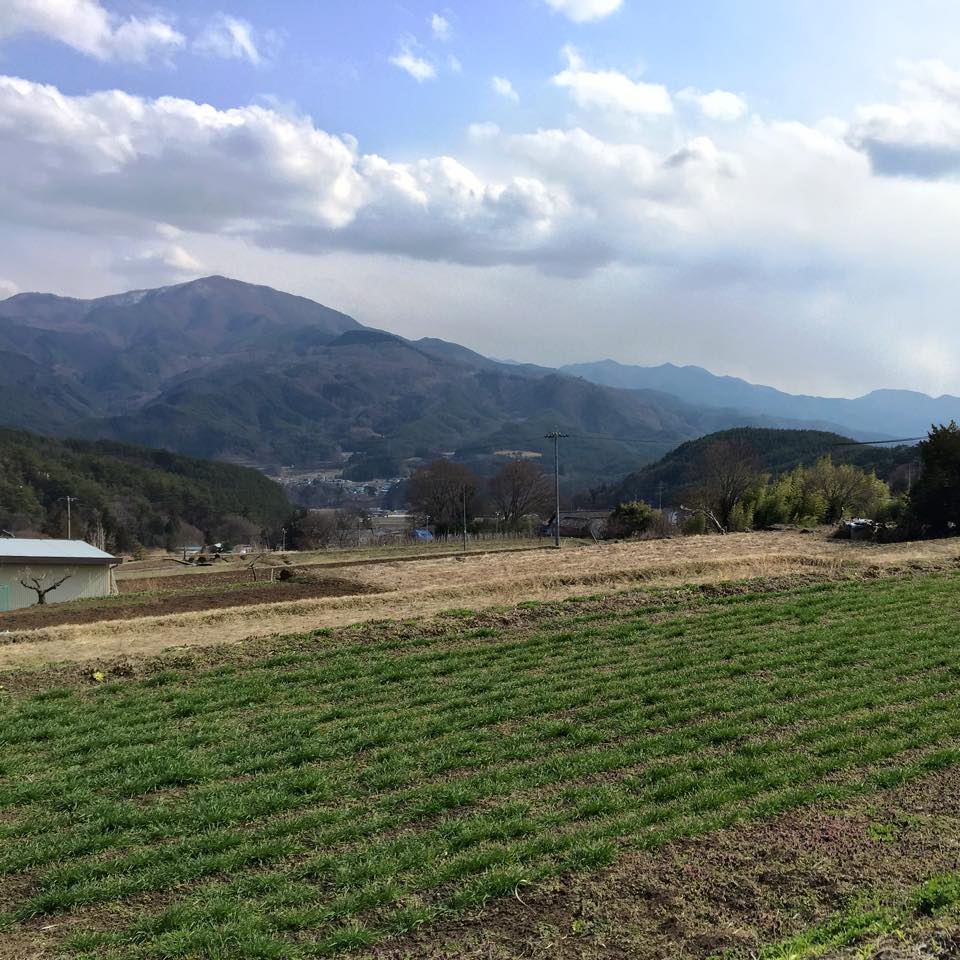 12932720_1175985705753098_8323182244968157237_n