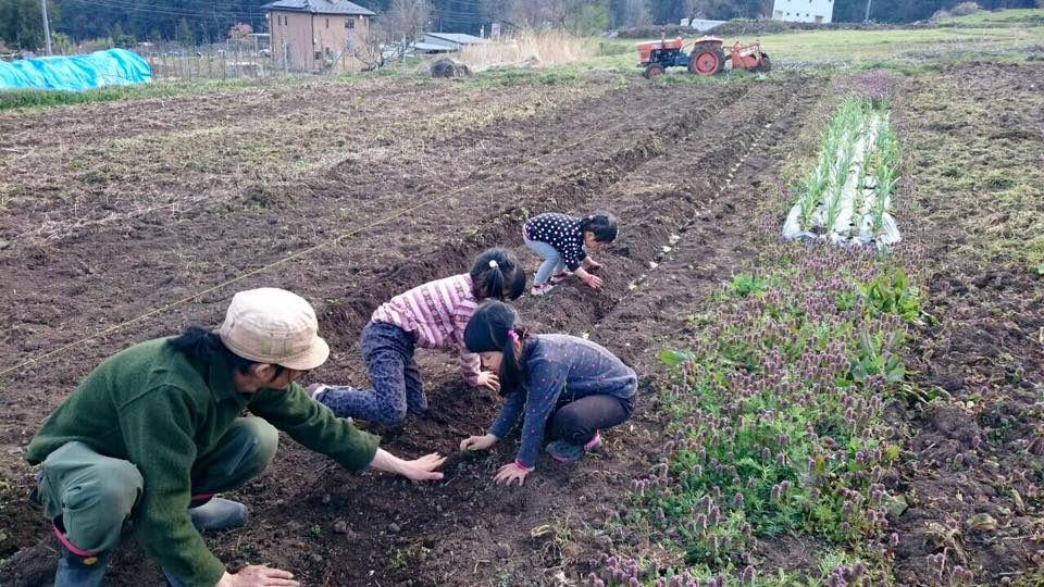 13007088_1189433397741662_7556293419814271262_n