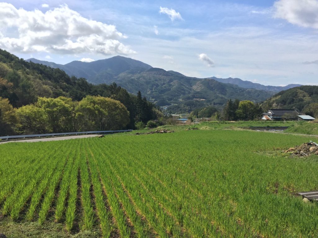 13087193_10208512126657393_4371884582024778474_o