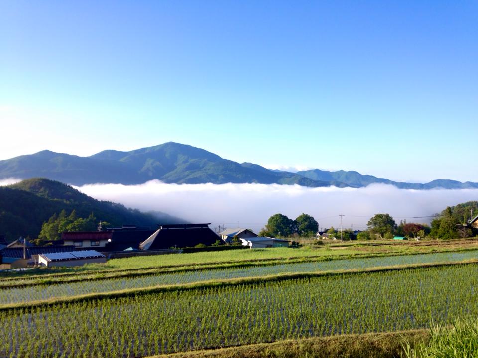 13178848_1208408195844182_7013500972227059491_n