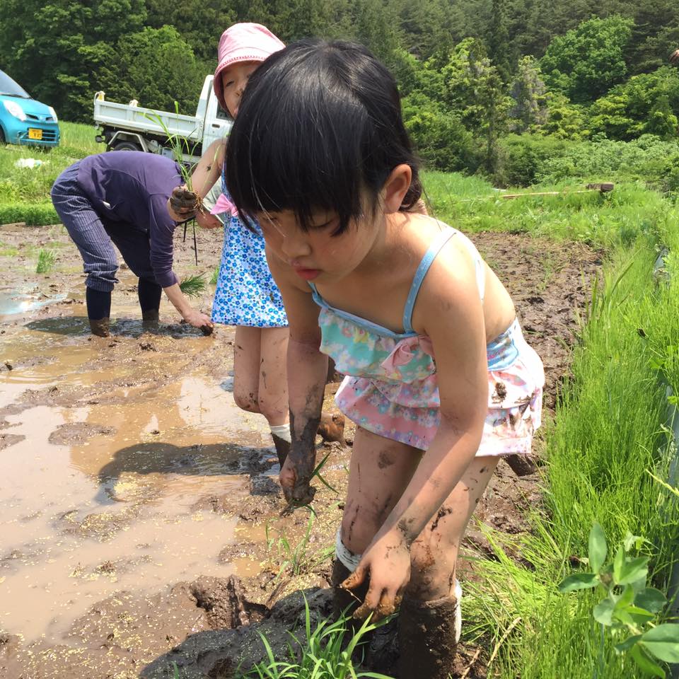 13237758_1211683868849948_4143239309668598190_n