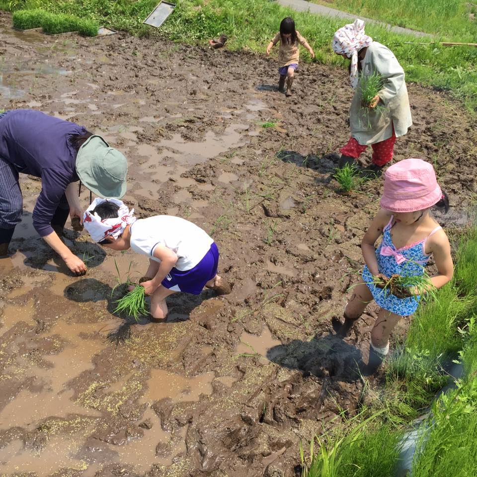 13244618_1211683895516612_3539194482963565382_n