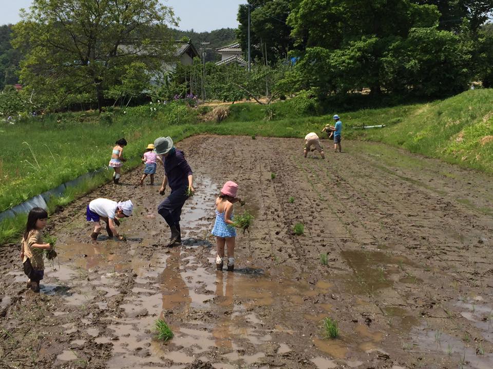 13244805_1211683848849950_4793406359165209464_n