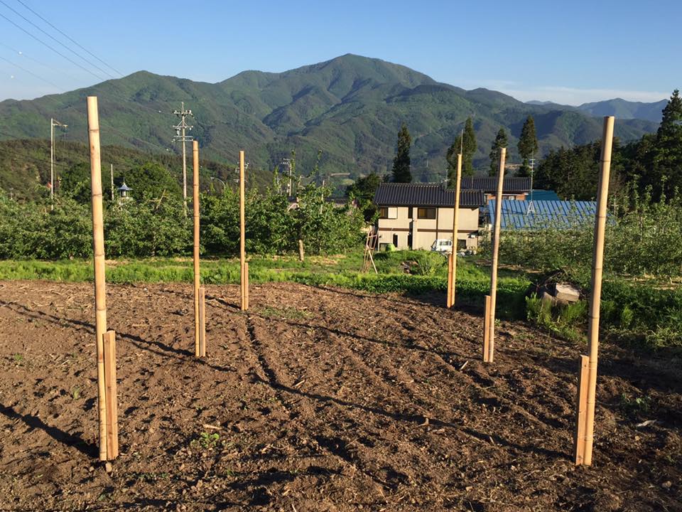 13266108_1209748922376776_6734159025518363429_n