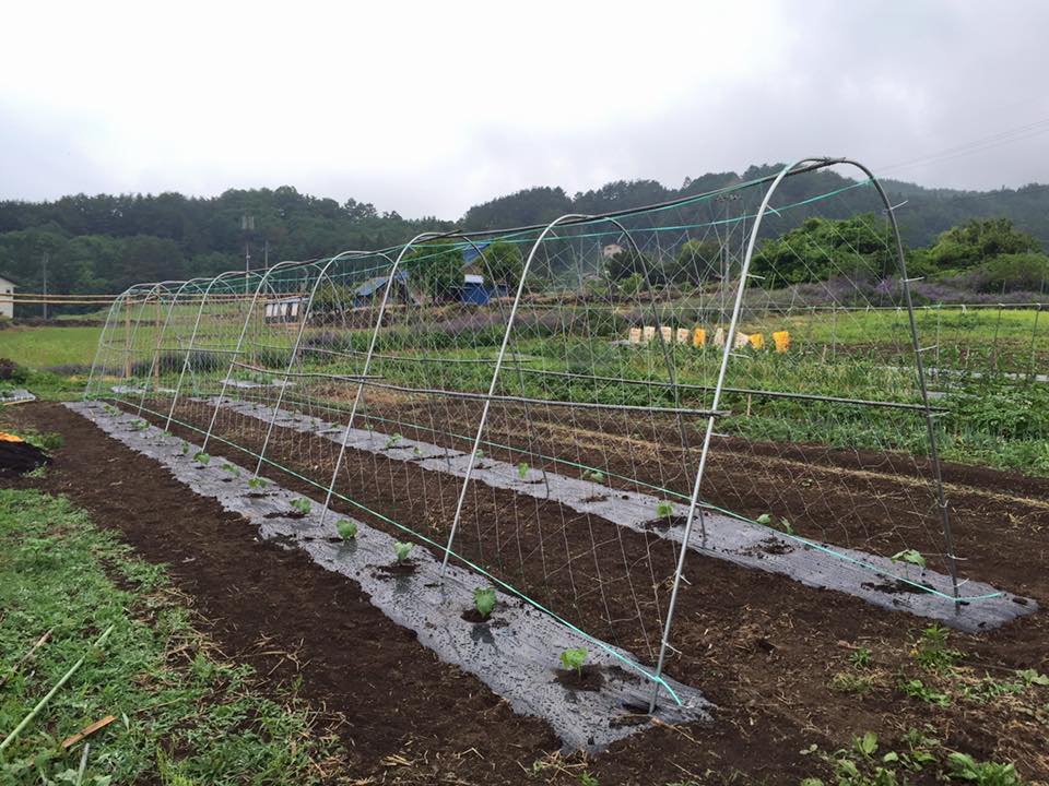 13413102_1224601197558215_6433507596232622552_n