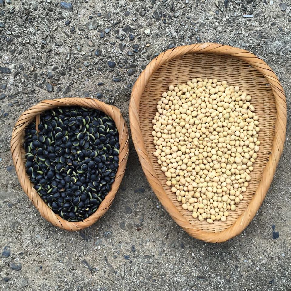 13502607_1232439846774350_2429985961311667290_o