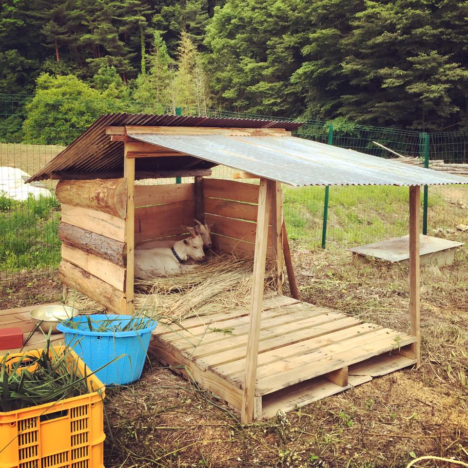 13528757_1235917623093239_8373153805845824484_n