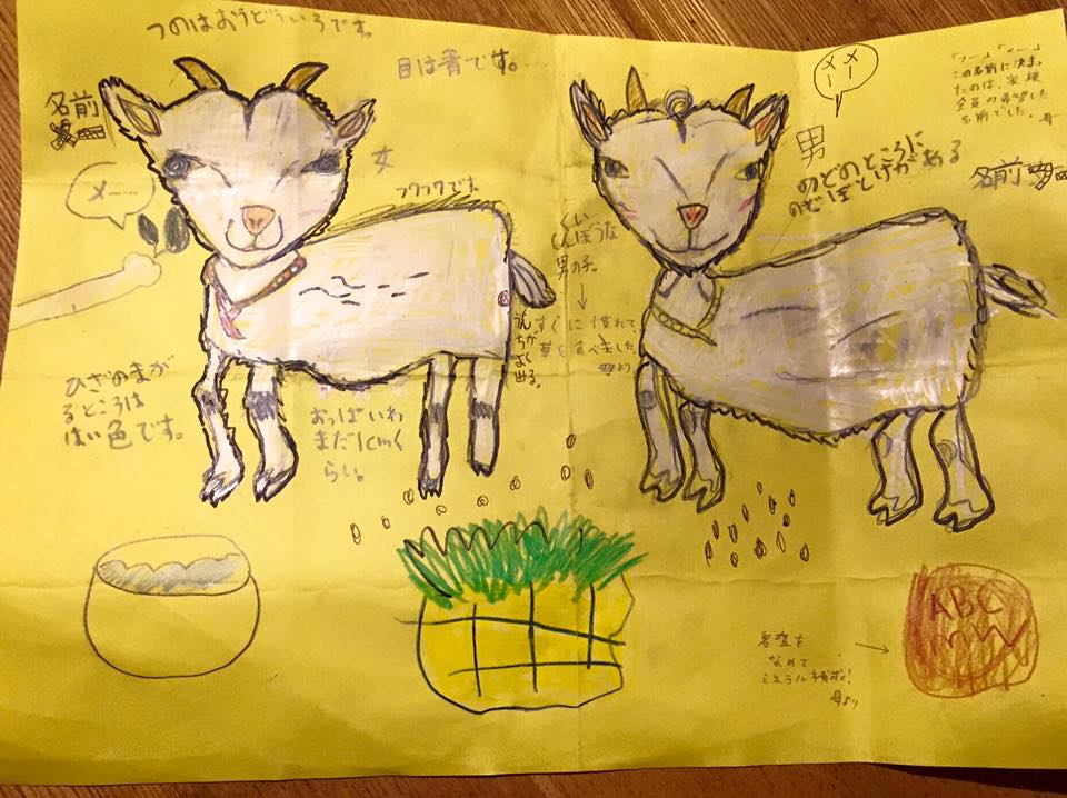 13537678_1234642809887387_8426099319354438877_n