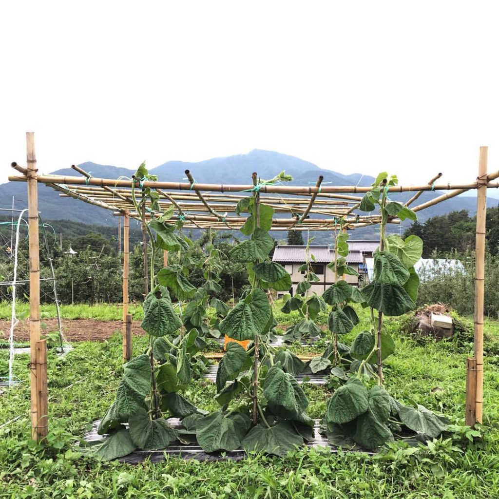 13580547_1238066789544989_3073249959719147186_o