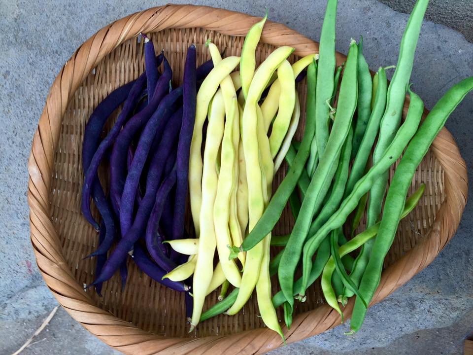 13620721_10209187103731398_6085503613289017420_n