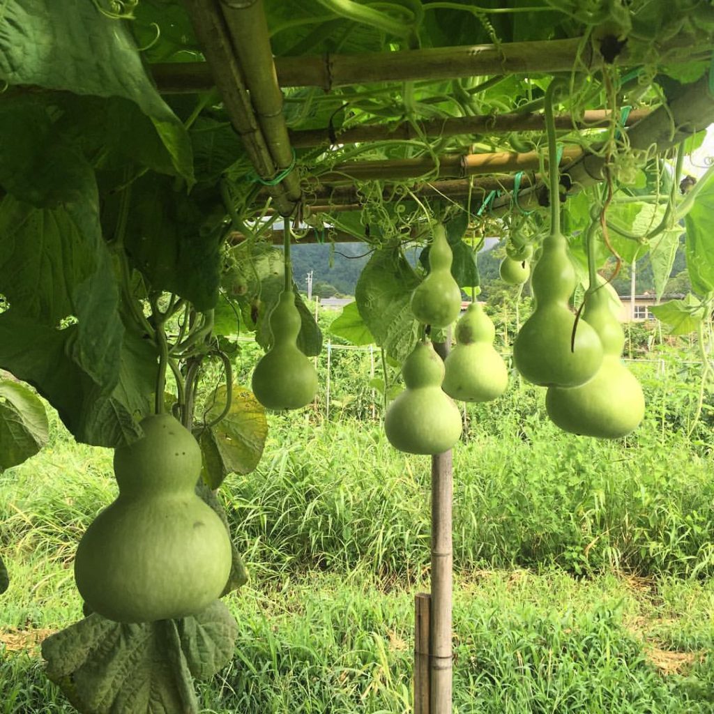 13640928_10209259982873331_3658977454266149961_o