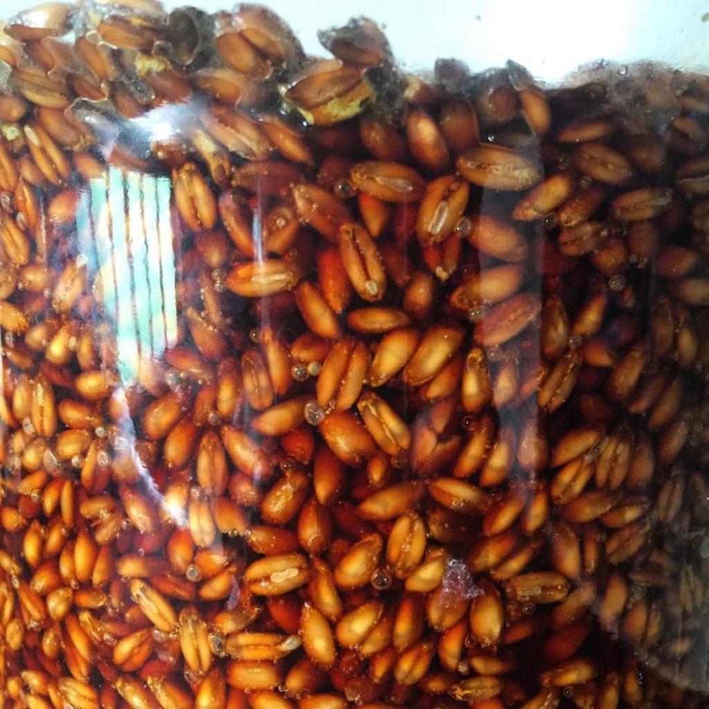 13667800_1248989921786009_3809154781499556250_o