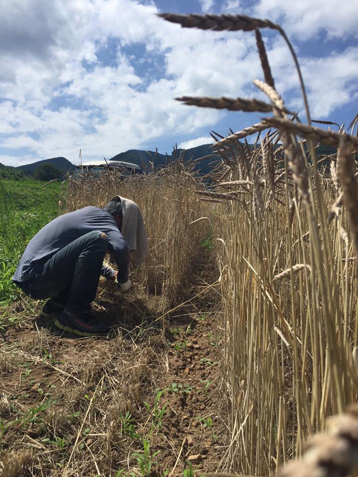 13709889_1253359878015680_8794746990239958819_n