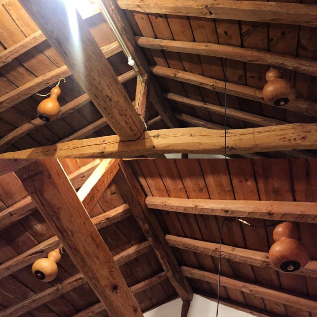 13735823_1248495421835459_2092398761797103385_o