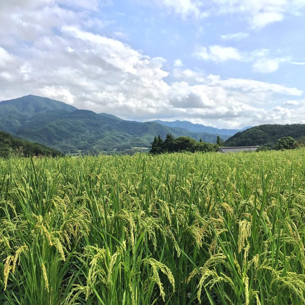 14114904_1280257361992598_8047058074421174704_o