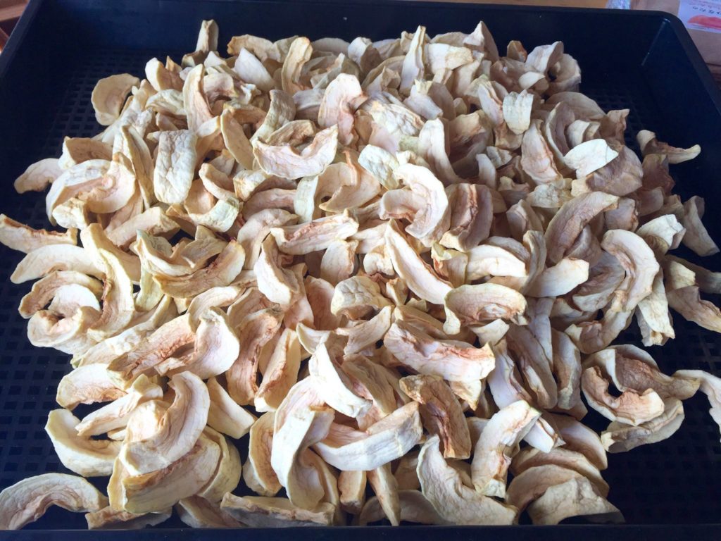 16601855_1462644040420595_7967356218351832465_o