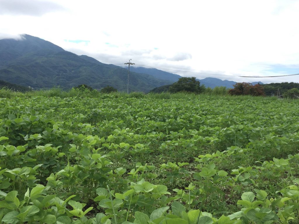 20280691_1668782439806753_9092070260411366416_o