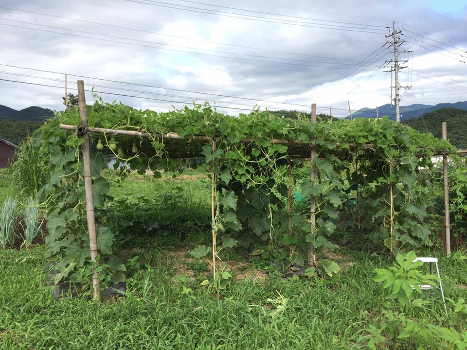 20294119_1669134949771502_1761356246070358570_n