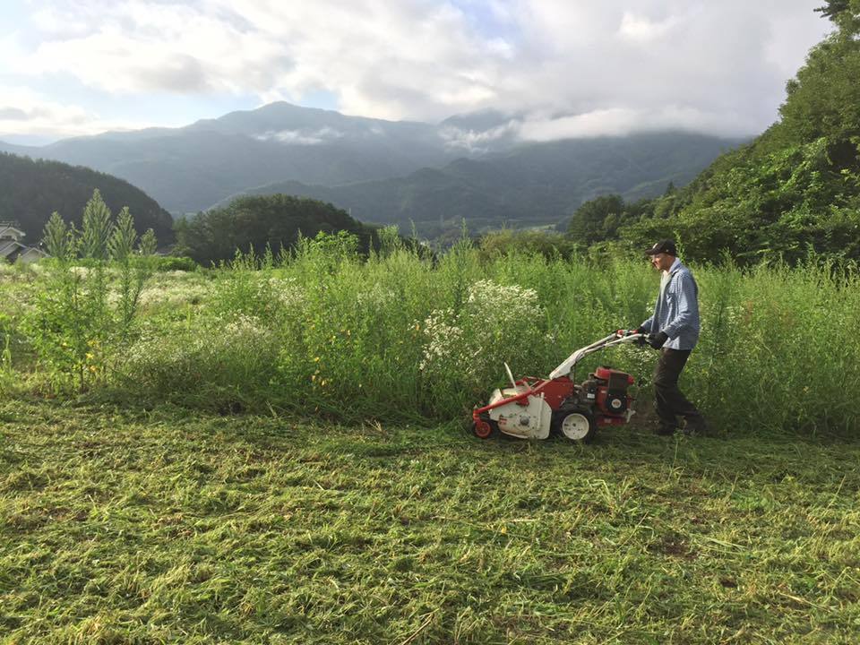 20638604_1684488974902766_2831214377896293527_n