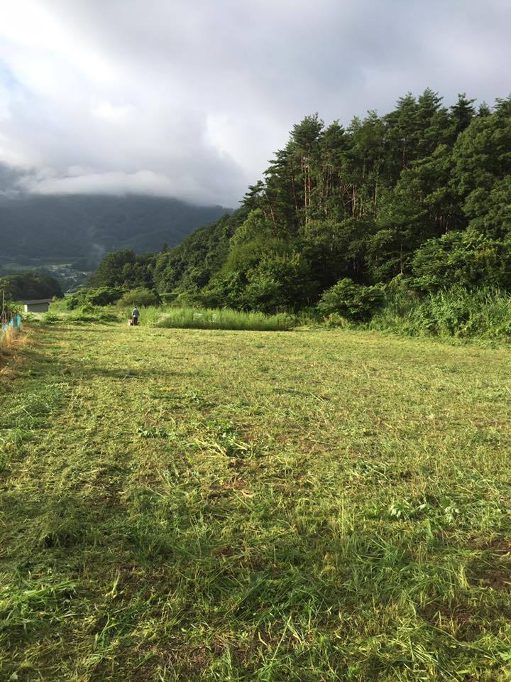 20638744_1684488981569432_3516794145025709479_n