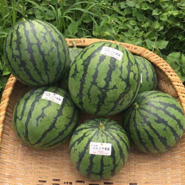 20708275_1687809507904046_1259570406244754402_n-2