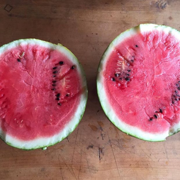 20729626_1687809514570712_4296758975884698484_n-2